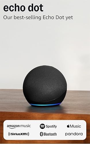 Amazon Echo Dot (newest model)